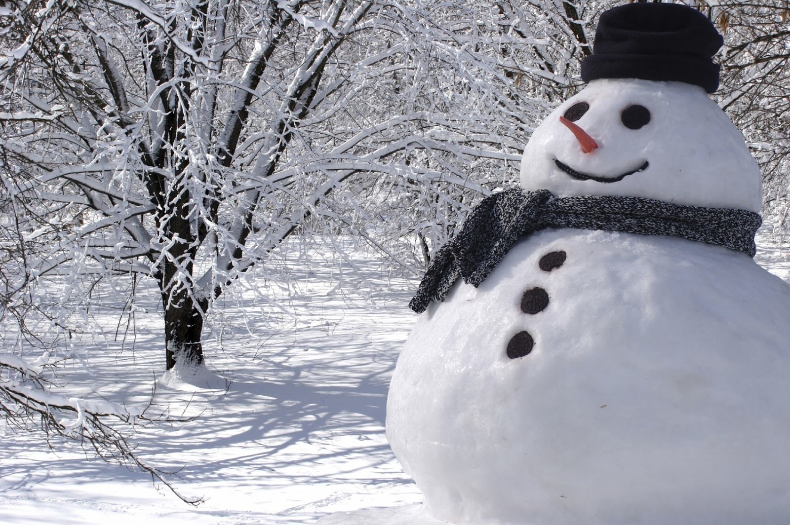 http://stemjobs.com/wp-content/uploads/2014/12/snowman.jpg