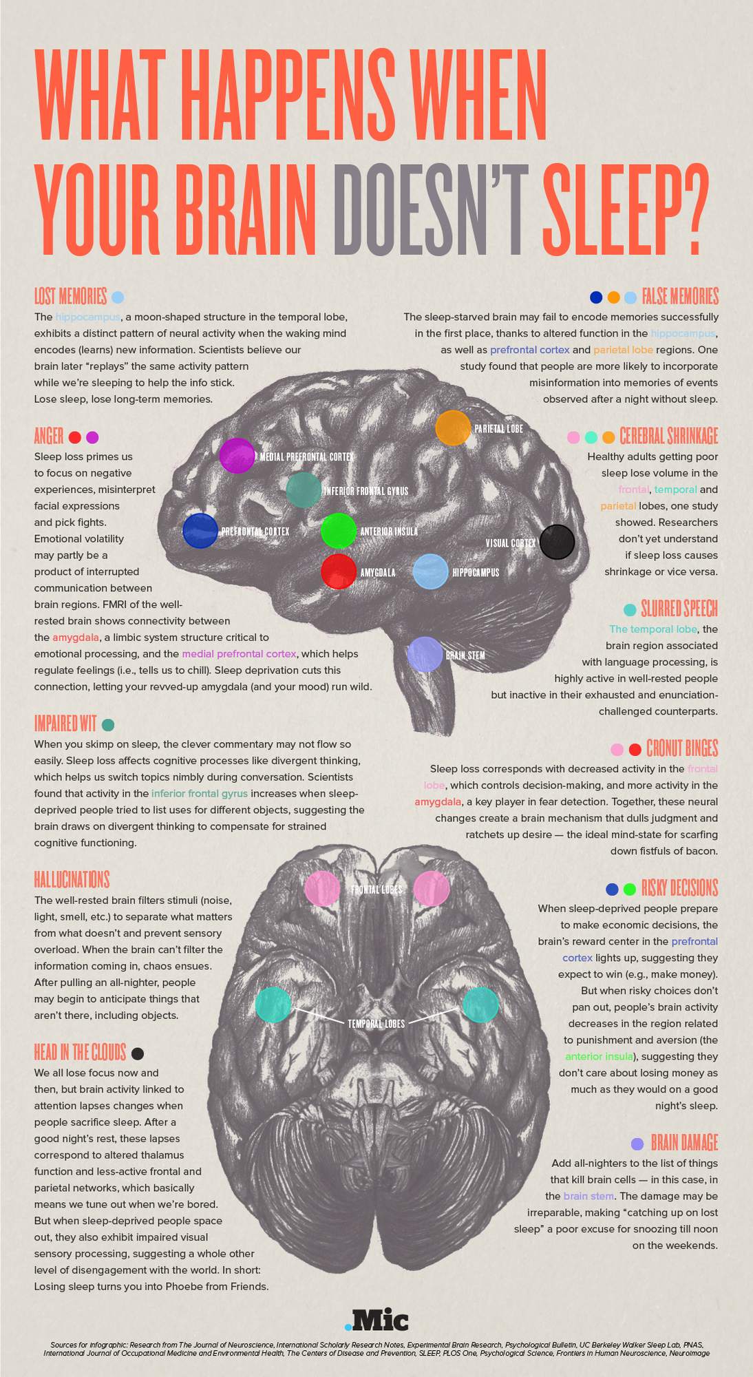 This Is Your Brain On Sleep Deprivation [Infographic] - STEMJOBS