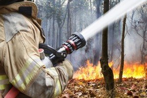 Forest Firefighters Jobs