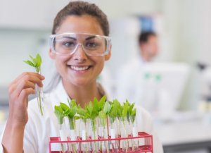 biology jobs - bio technician