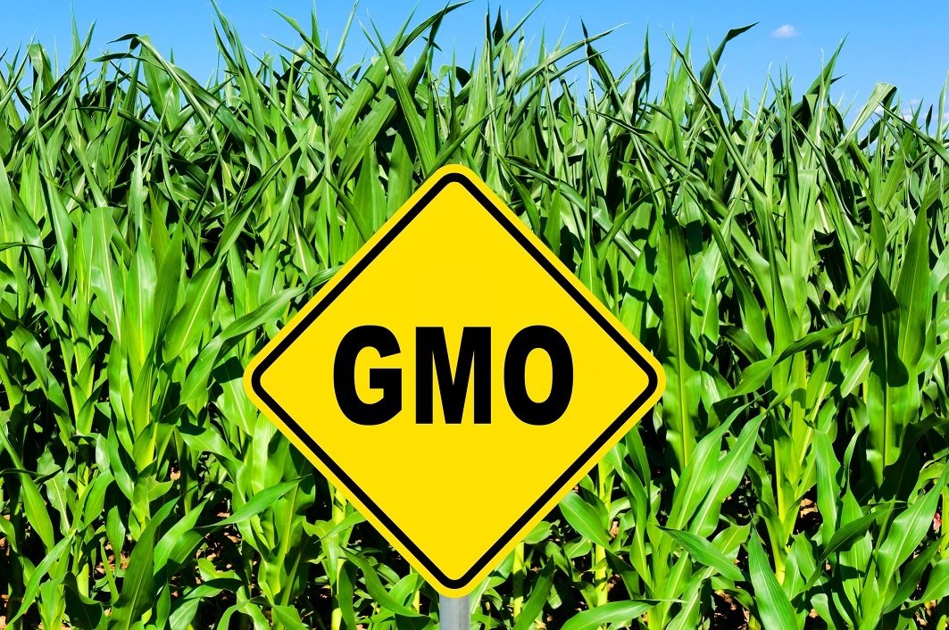 The Great GMO Debate - STEMJobs