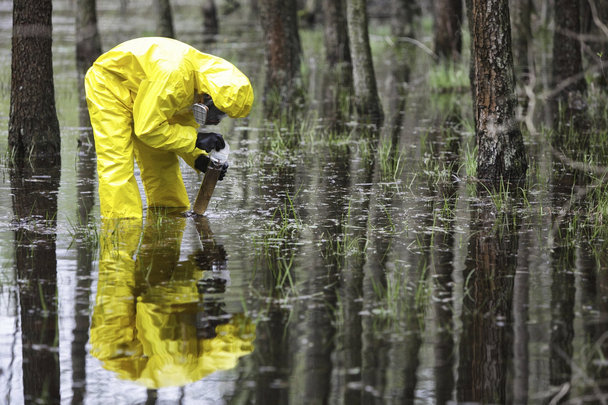 5-marine-biology-jobs-you-need-to-check-out-page-6-of-6-stemjobs